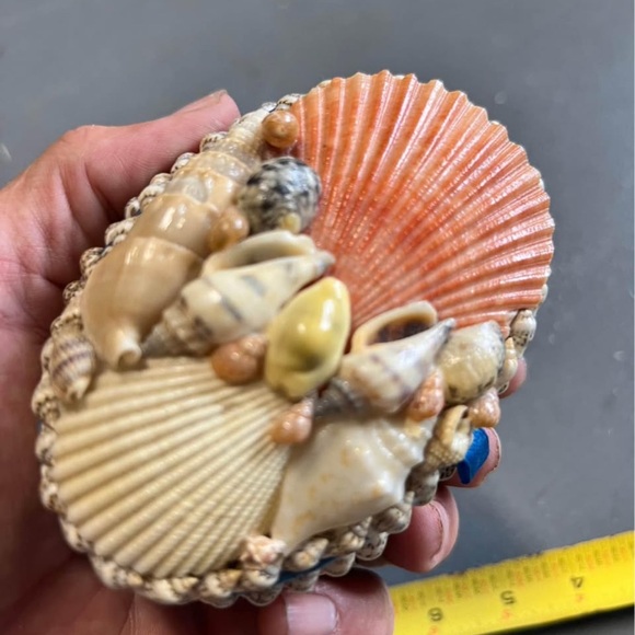 Vintage 3" Seashell Trinket Box Storage Coastal 🌊❤️ - Picture 3 of 4